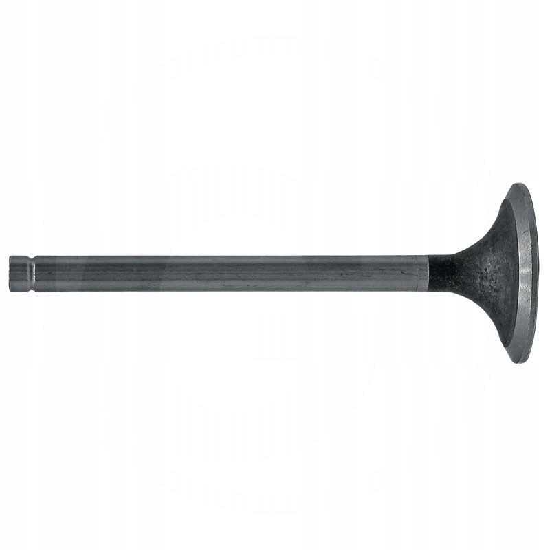 Turbo C 385 įsiurbimo vožtuvas ir dariniai