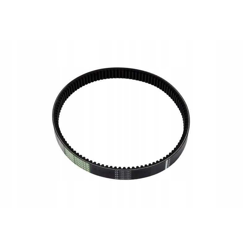 1001061 V formos diržas 30 x 12 x 1025 la