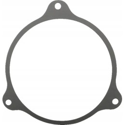 Zetor diferencialo dangčio tarpinė