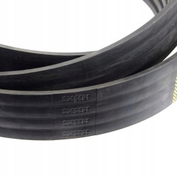 Mf fendt 1925398 vartų trapecinis diržas