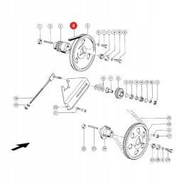 formos dirzas claas 060306 3 vartai 1419300