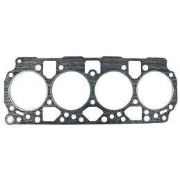 Baltarusijos 25 galvučių tarpinė