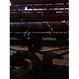 Nukritusių bizonų grūdų keltuvas 5040330010