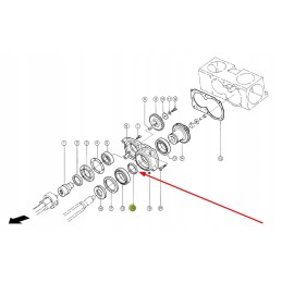 215970 0 pavaros vidinis žiedas