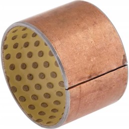 Nespyruokliškas spygliuočių krūmas