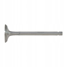 Baltarusija it 25 siurbimo vožtuvas