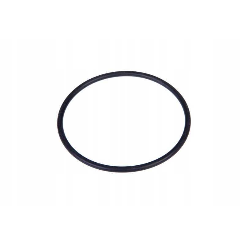 102265107 polosi sandariklis