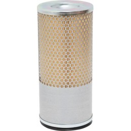 Filtro įdėklas 4217775m1