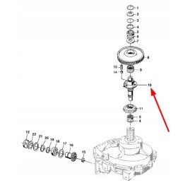 Lca67388 atakos velenas