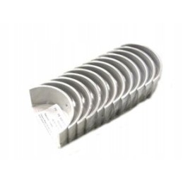 Bison p5 6c107 bimet švaistiklio guoliai