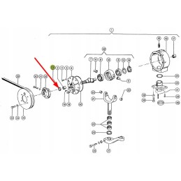 238348 02 dalgio pavaros sandarinimo žiedas