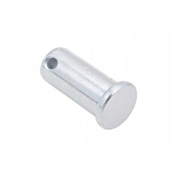 100594879 pavaros kaištis