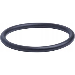 O-žiedo sandariklis