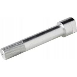 Priekinės ašies varžtas tinka zetoriui