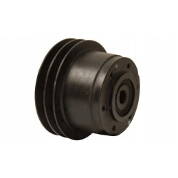 Bison vandens siurblio skriemulys su 058 rekordiniu aukštu