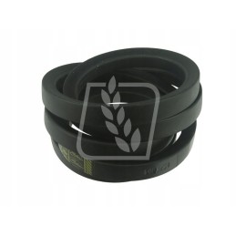 Variatoriaus diržas 2 vnt 617309 claas 32 x 3200