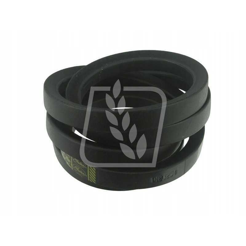 Variatoriaus diržas 2 vnt 617309 claas 32 x 3200