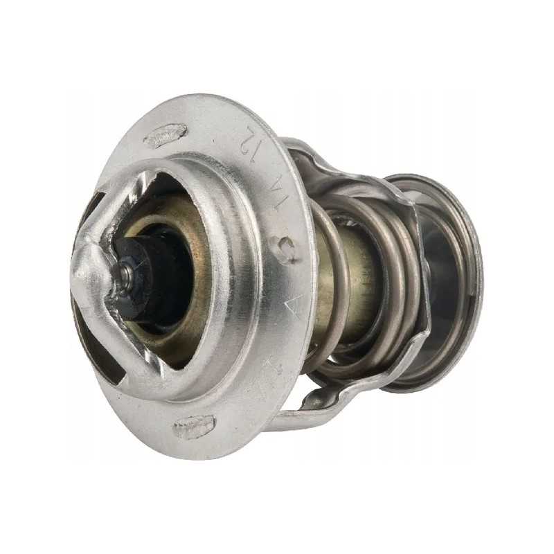 Pakaitinimo termostatas