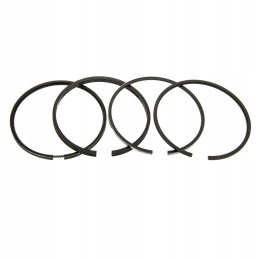 SW400 Bizon 107 21mm variklio remonto komplektas