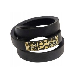 Vartų trapecinis diržas 0301117 3024030111