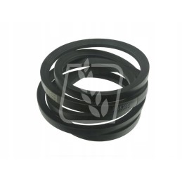 Diržas 2 vnt 4240044254 22 vnt x 3620