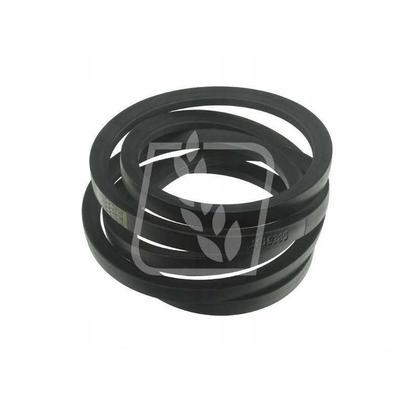 Diržas 2 vnt 4240044254 22 vnt x 3620