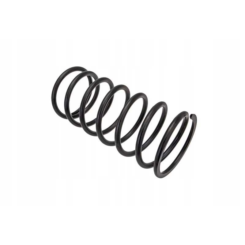 101459177 būgno variatoriaus spyruoklė