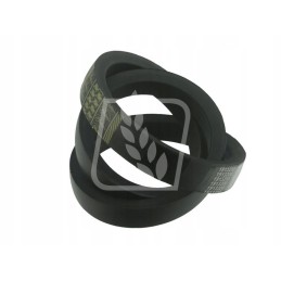 Pilnas variatoriaus diržas 603317 claas 51x2400 vartai