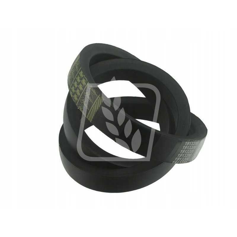 Pilnas variatoriaus diržas 603317 claas 51x2400 vartai