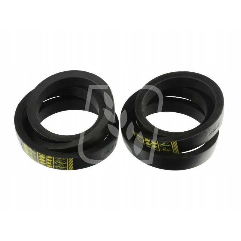 Variatoriaus diržas 2 vnt 340435124 1912180