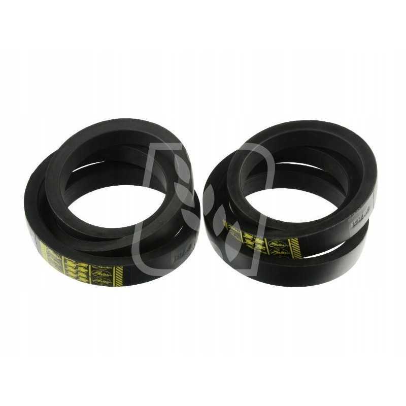 Variatoriaus diržas 2 vnt 340435124 1912180