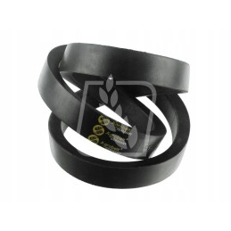 Variatoriaus diržas d41980000 massey ferguson 38 x 177