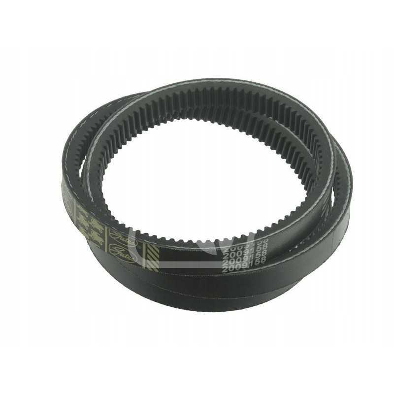 Variatoriaus diržas 2 vnt 2009158 2009158