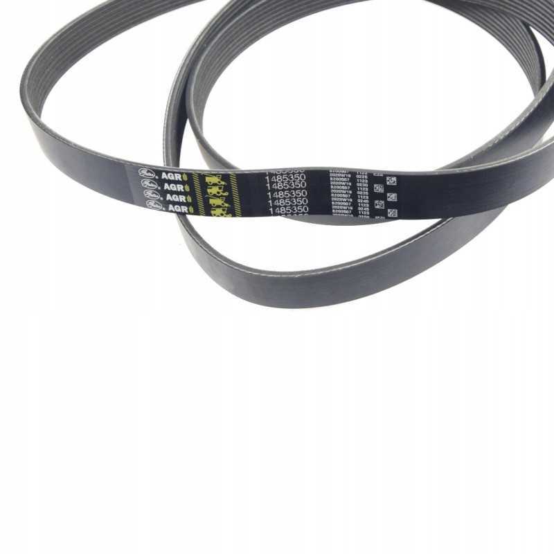 V formos dirzas claas 628964 1 vartai 1485350