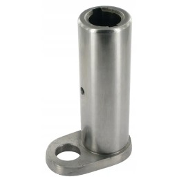 Ašies centrinis kaištis