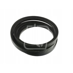 Pas 89837412 Naujoji Olandija 22 x 1879 76