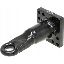 Pasukama kilpa su apykakle