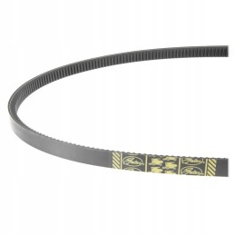 V formos dirzas claas 629214 1 vartai 1477269