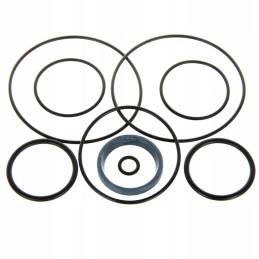 F 319 Bizon krumpliaračio siurblio sandariklių komplektas