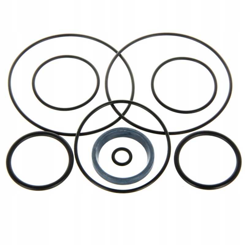 F 319 Bizon krumpliaračio siurblio sandariklių komplektas