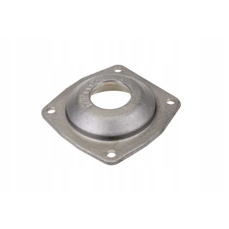 613915 1 pavaros guolio dangtis