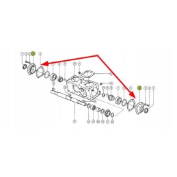 613915 1 pavaros guolio dangtis