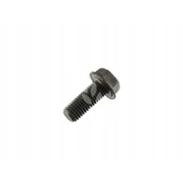 Apsauginis varžtas m12x30mm 239062