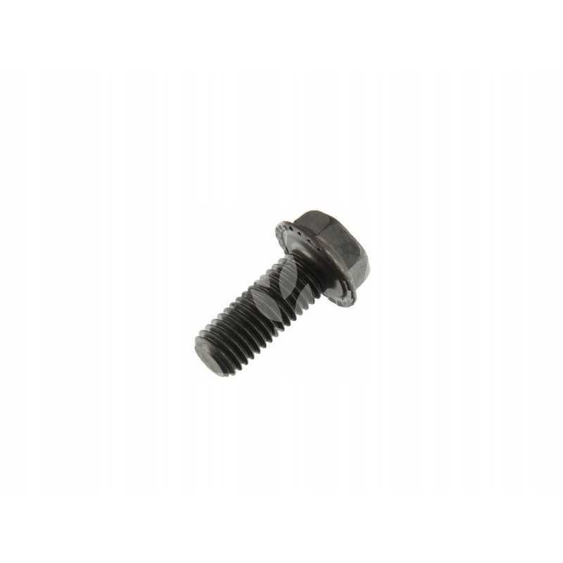 Apsauginis varžtas m12x30mm 239062