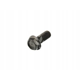 Apsauginis varžtas m12x30mm 239062