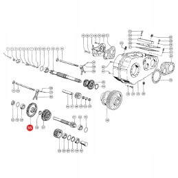 Krumpliaratis z48 claas 677488 0 vnt