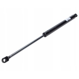 Dujinio amortizatoriaus pavara a 405 s 160 f 350n