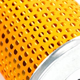 Alyvos filtro įdėklas 68725002150x