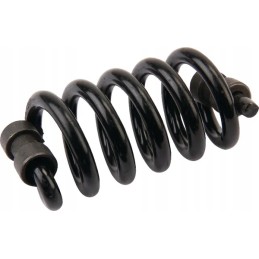 Naujosios Olandijos pavasaris