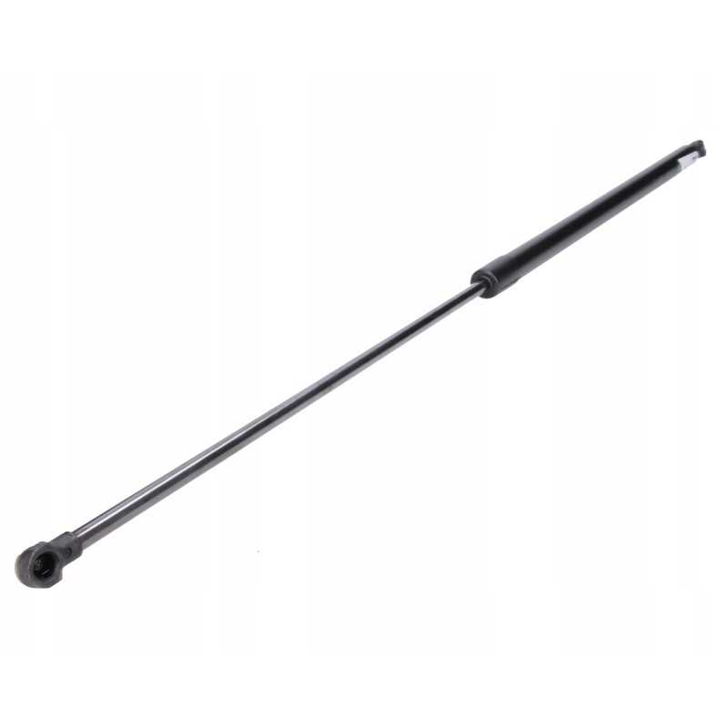 Dujų amortizatoriaus pavara a 895 b 450 f 700n